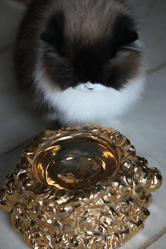 I think I deserve to drink out of a golden bowl.  I am, after all, a highly sophisticated and cultured feline!
