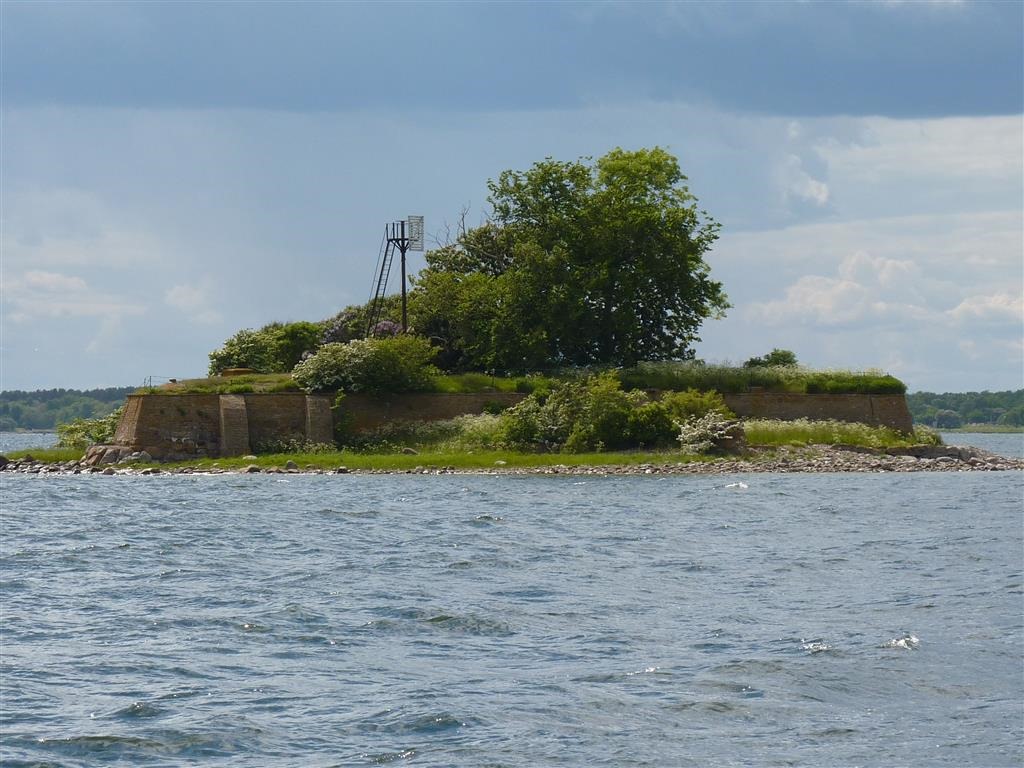 [P1030293-Medium3.jpg]