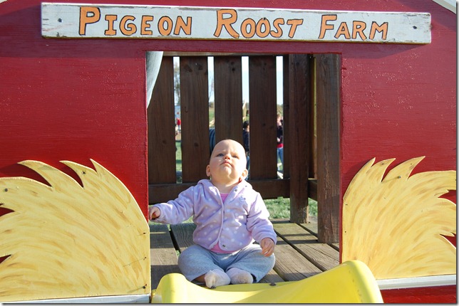 DSC_0772 DSC_0772