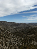 HPIM2396.JPG Photo