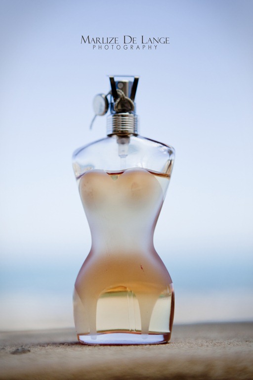 [IMG_9956%2520aa%255B5%255D.jpg]