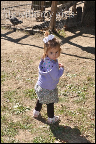 DSC_0280 DSC_0280
