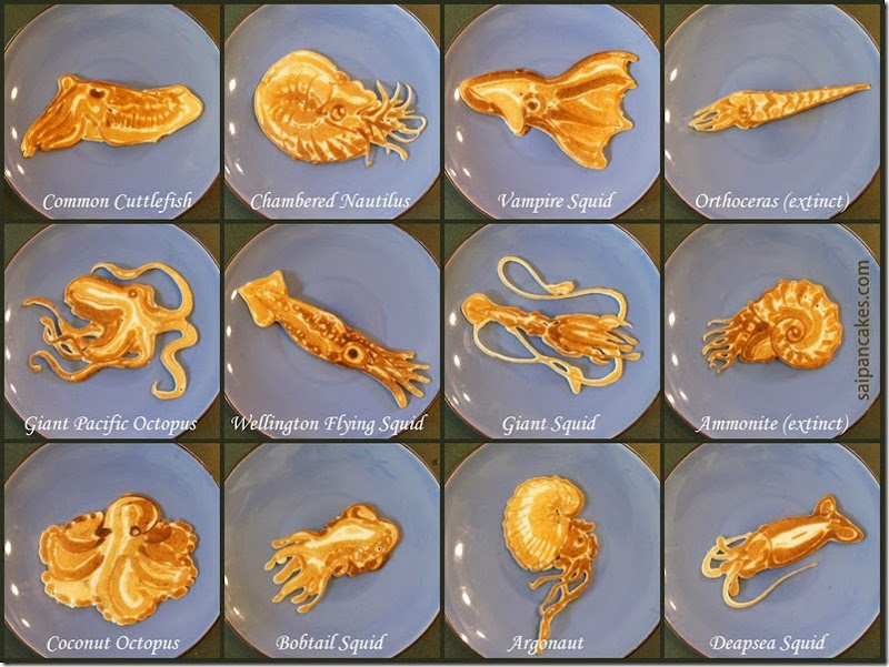 cephalopod_pancakes