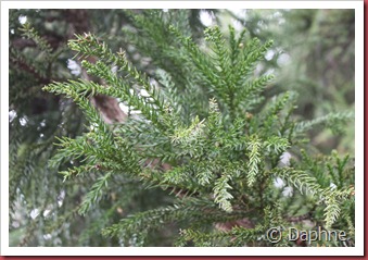 IMG_4962 IMG_4962
