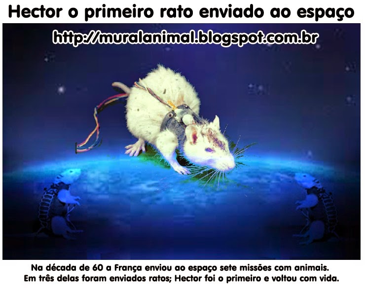 [hector-rato-espaco%255B3%255D.jpg]