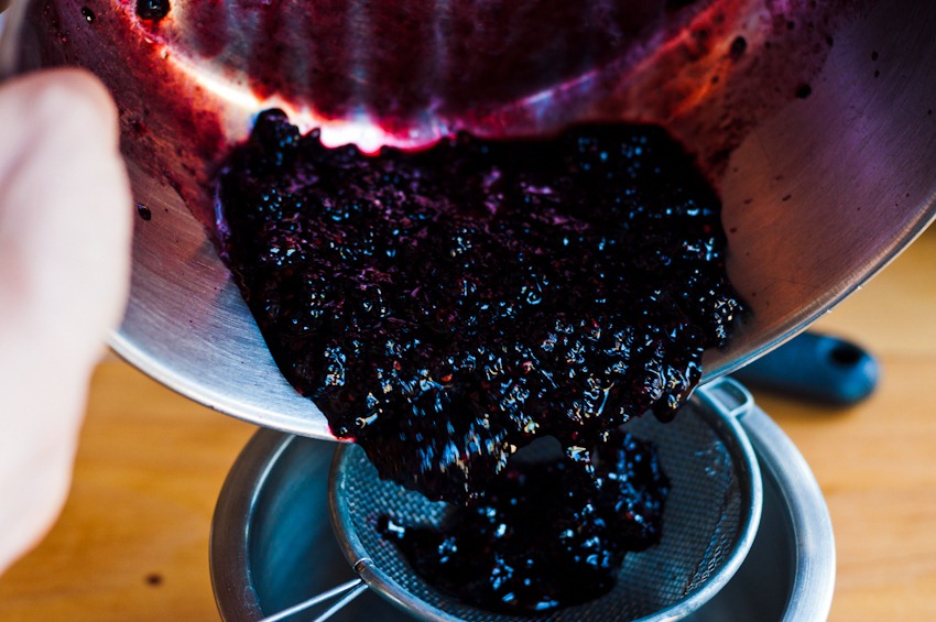 [Blackberry-lime-smoothie-35533.jpg]