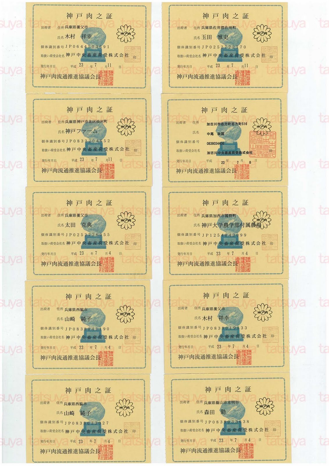 [LOT-11072501-%25231.jpg]