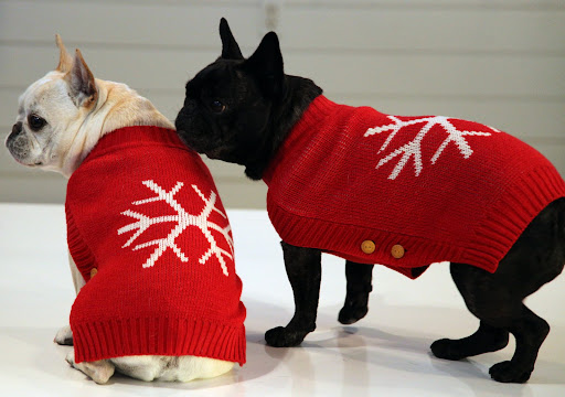 The snowflake design on the back is so festive.