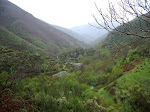 2008-04-21 A SEARA-COUREL 008.JPG