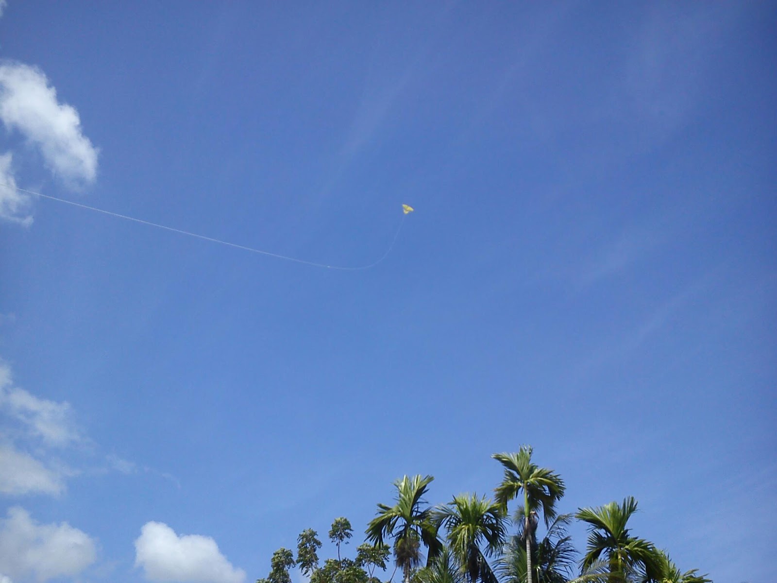 olon Layang Layang Danguang