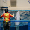 hokkaido_446.jpg