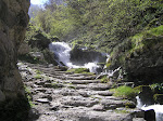 Foces do Río Pino