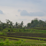 DSC_1355.JPG