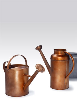 Copper finish watering cans.