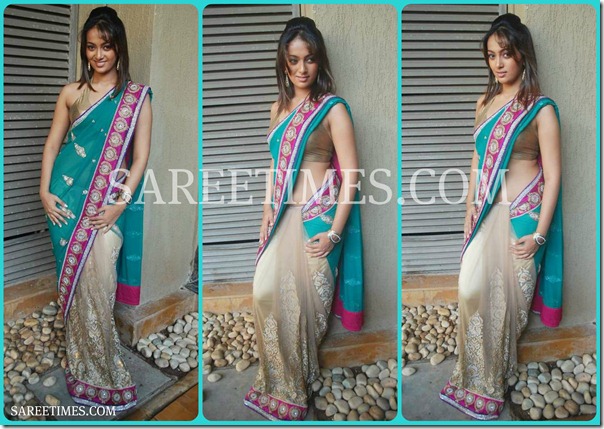 Riya_Sen_Embroidery_Sari