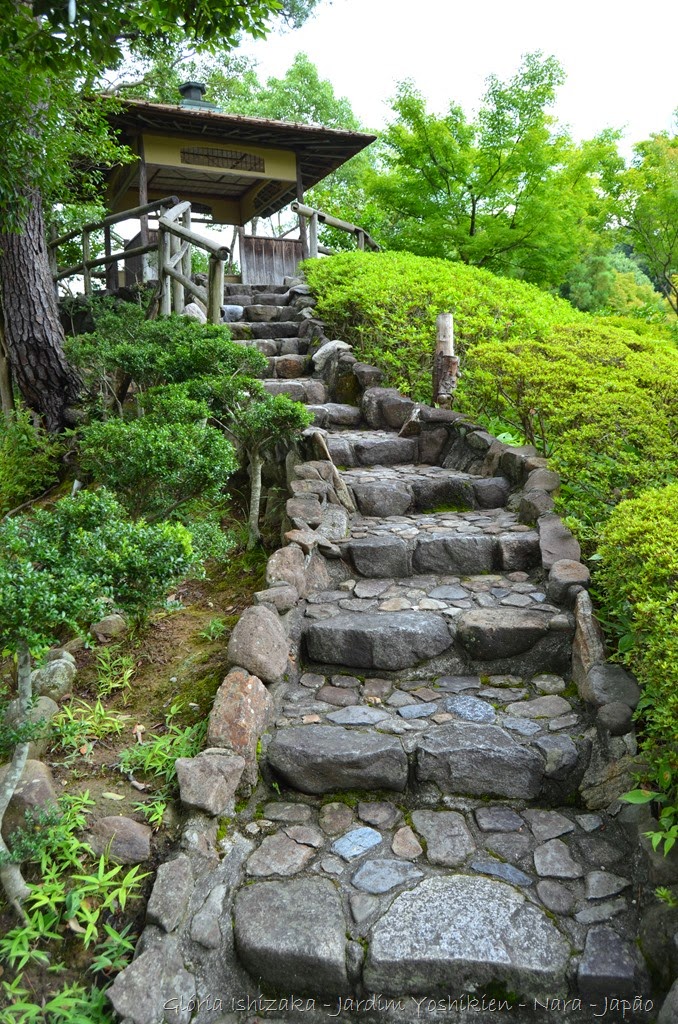 [Gl%25C3%25B3ria%2520Ishizaka%2520-%2520Nara%2520-%2520JP%2520_%25202014%2520-%252014%255B3%255D.jpg]