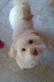 2011-12-27 13.57.59.jpg