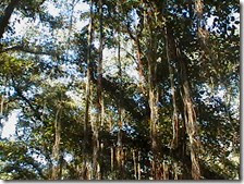 IMGA0024 IMGA0024