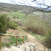 IMGP2298.JPG