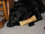 IMG_6678.JPG