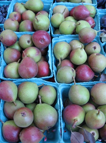 [pears%255B4%255D.jpg]