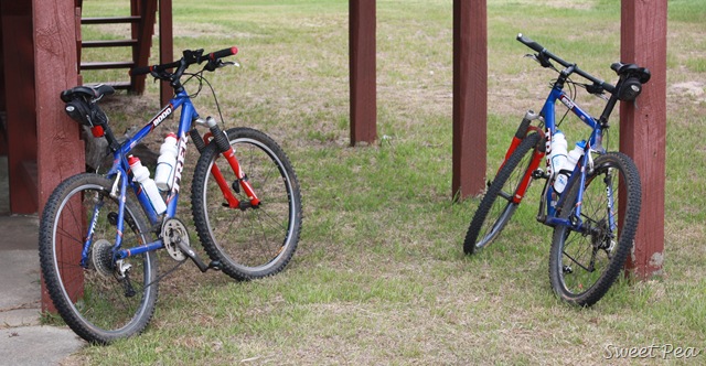 [Beach-Bikes3.jpg]