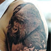 Gorilla