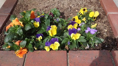 2014-04-01 10.04.05.jpg