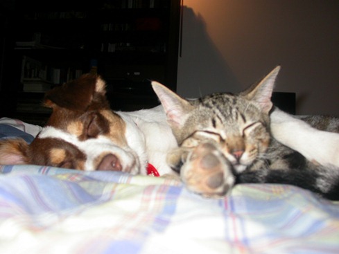 [DSCN6459%255B12%255D.jpg]