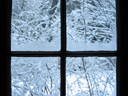 Frosty_windows