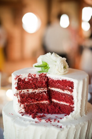 lex&brian-weddingday-1040