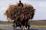 VOYAGE MONGOLIE - UN AN SUR LA ROUTE DU LAIT