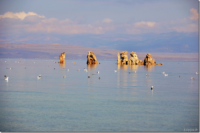 110912 Lake Mono (7)