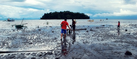 DSC_8535 DSC_8535