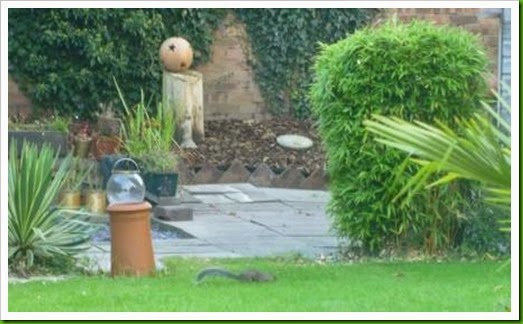 Castle Greysquirrel. Castle Greysquirrel.