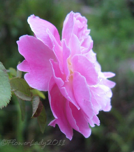 [10-15-mary-eliz2%255B4%255D.jpg]