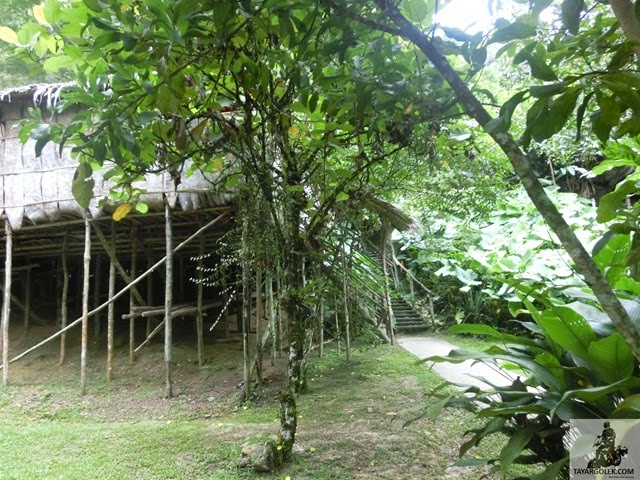 [CIMG18372.jpg]