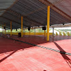 bastidores_carnavalpompeu2012_05.JPG