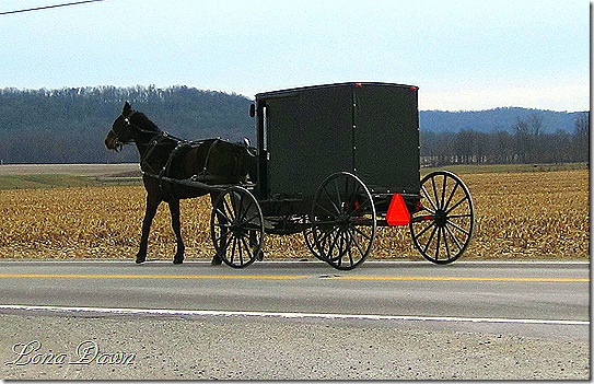 Bainbridge_AmishCommunity