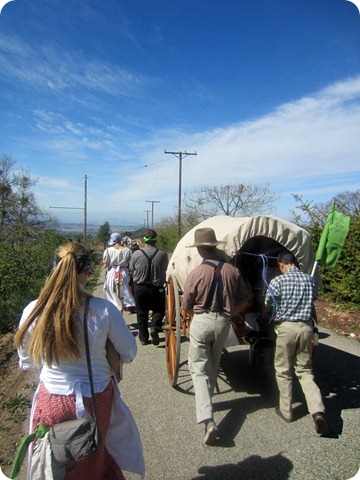 IMG_1590 IMG_1590