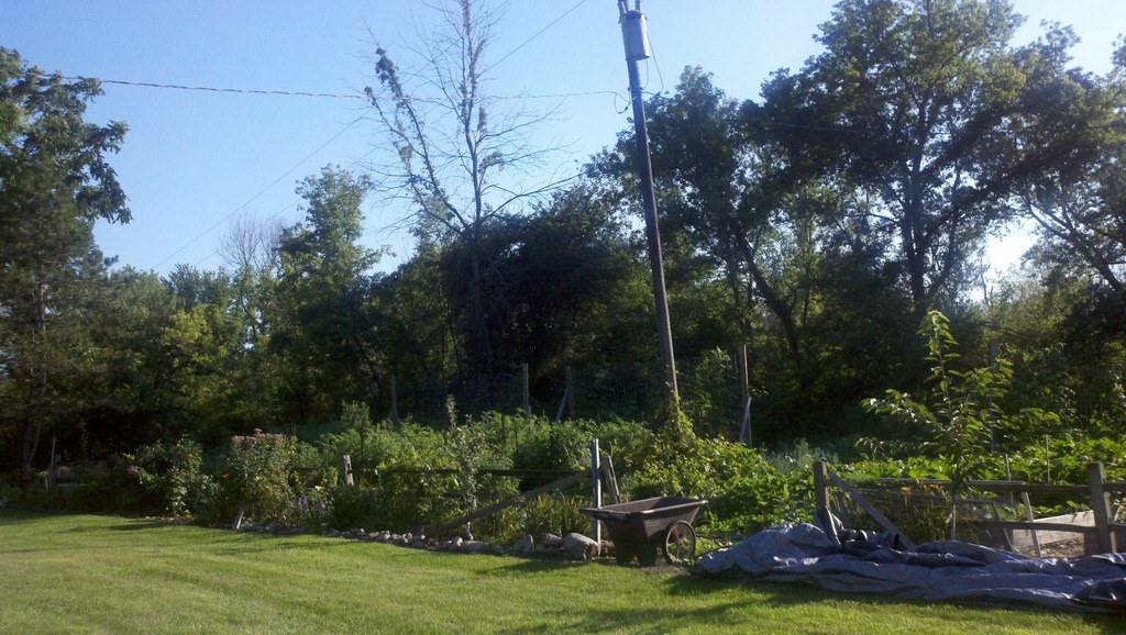[2011-07-31_18-45-22_320%255B4%255D.jpg]