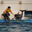 hokkaido_472.jpg