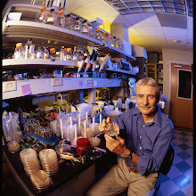 Lee Hartwell wins 2001 Nobel Prize