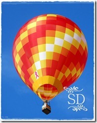 HotAirBalloon1