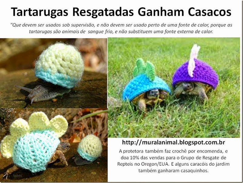 Tartarugas Resgatadas Ganham Casacos