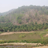 20130407 20130407