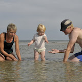 Her finder vi muslingeskaller