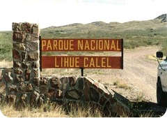lihue calel entrada