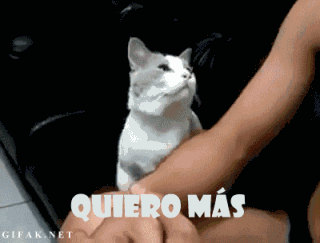 poquito mas c poquito mas c
