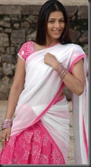 Bhumika Chawla in saree
